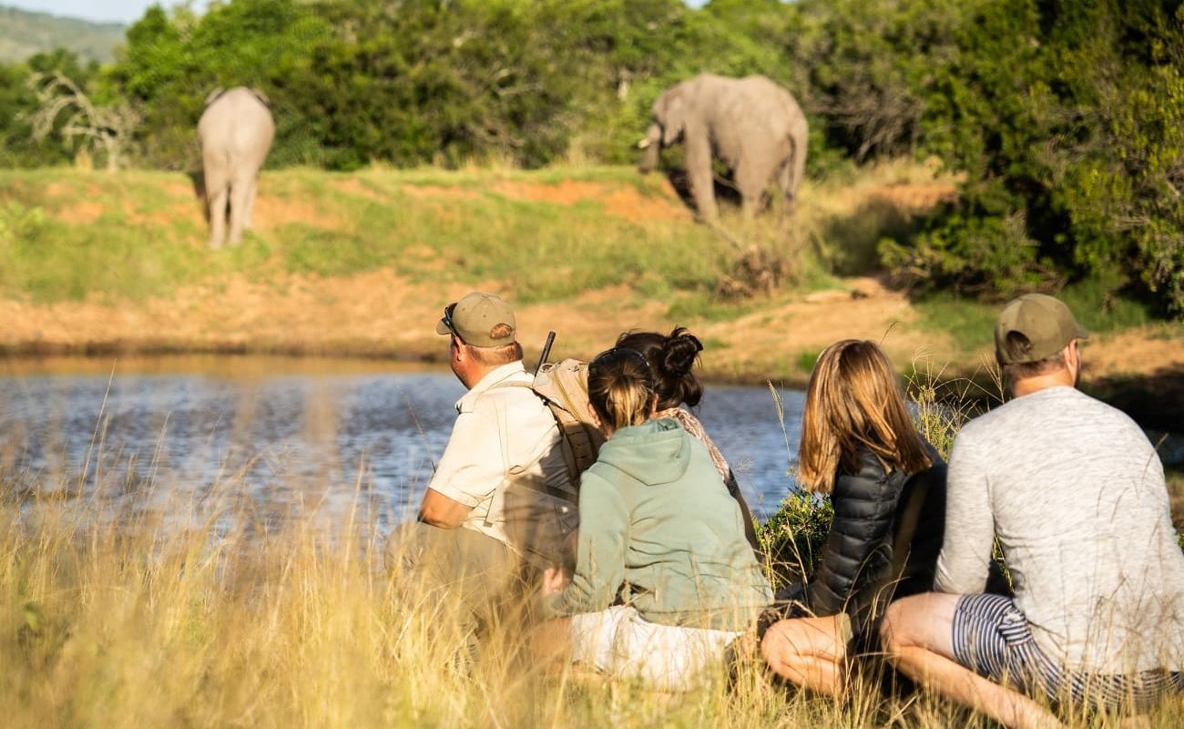 Lalibela Game Reserve Eastern Cape Südafrika I Genuss Touren