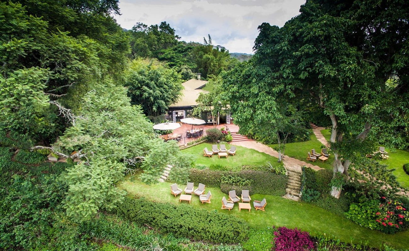 Garten Gibb's Farm Tansania