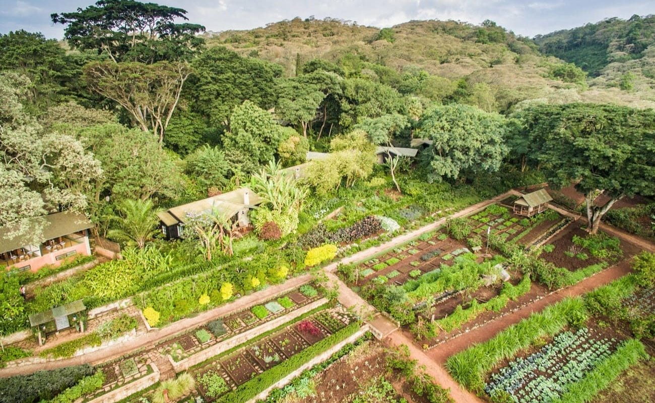 Garten der Gibb's Farm