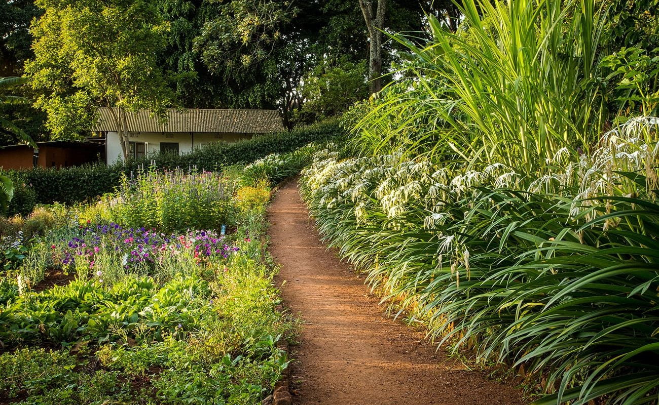 BLumengarten der Gibbs Farm