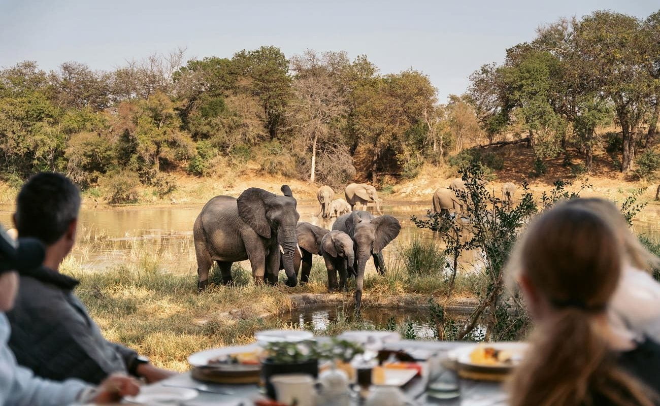 Simbavati Timbavati River Lodge Restaurant Restaurant Simbavati River Lodge