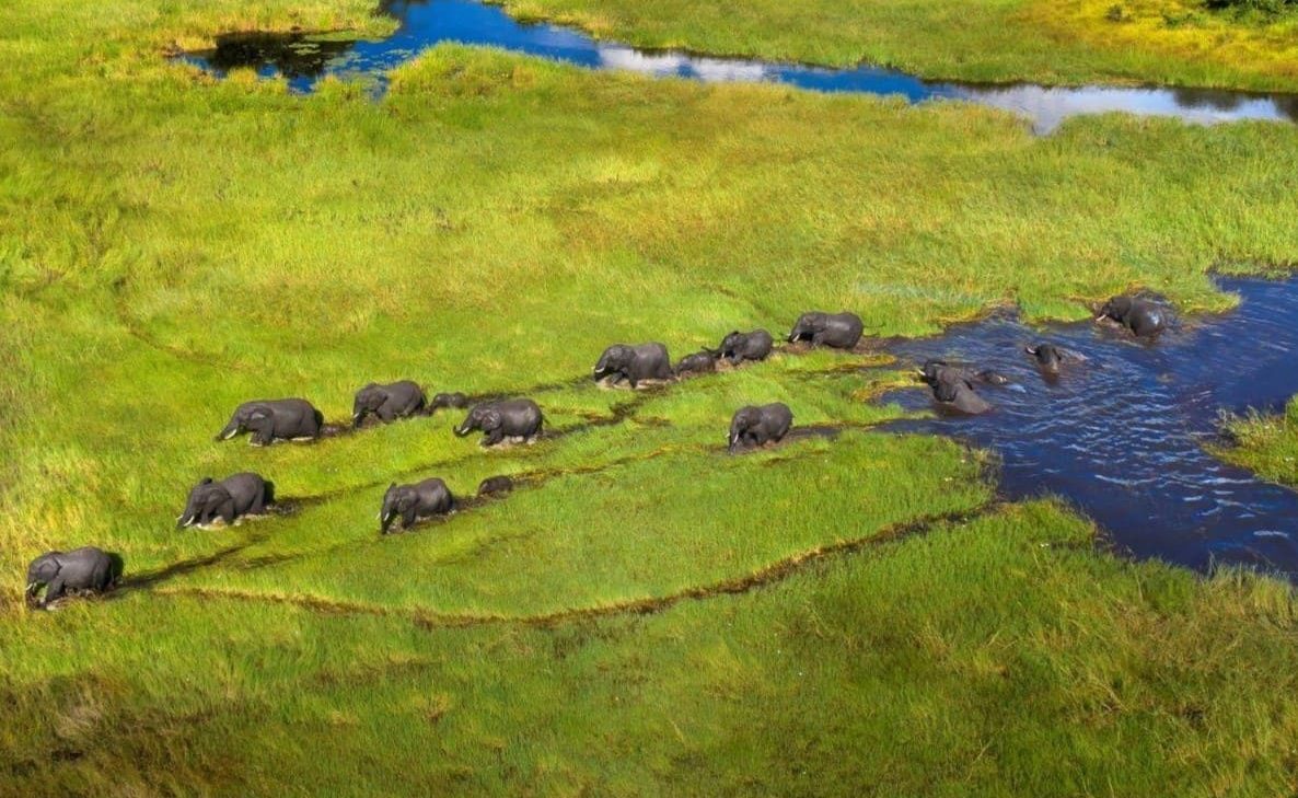 Botswana für Einsteiger I Genuss Touren