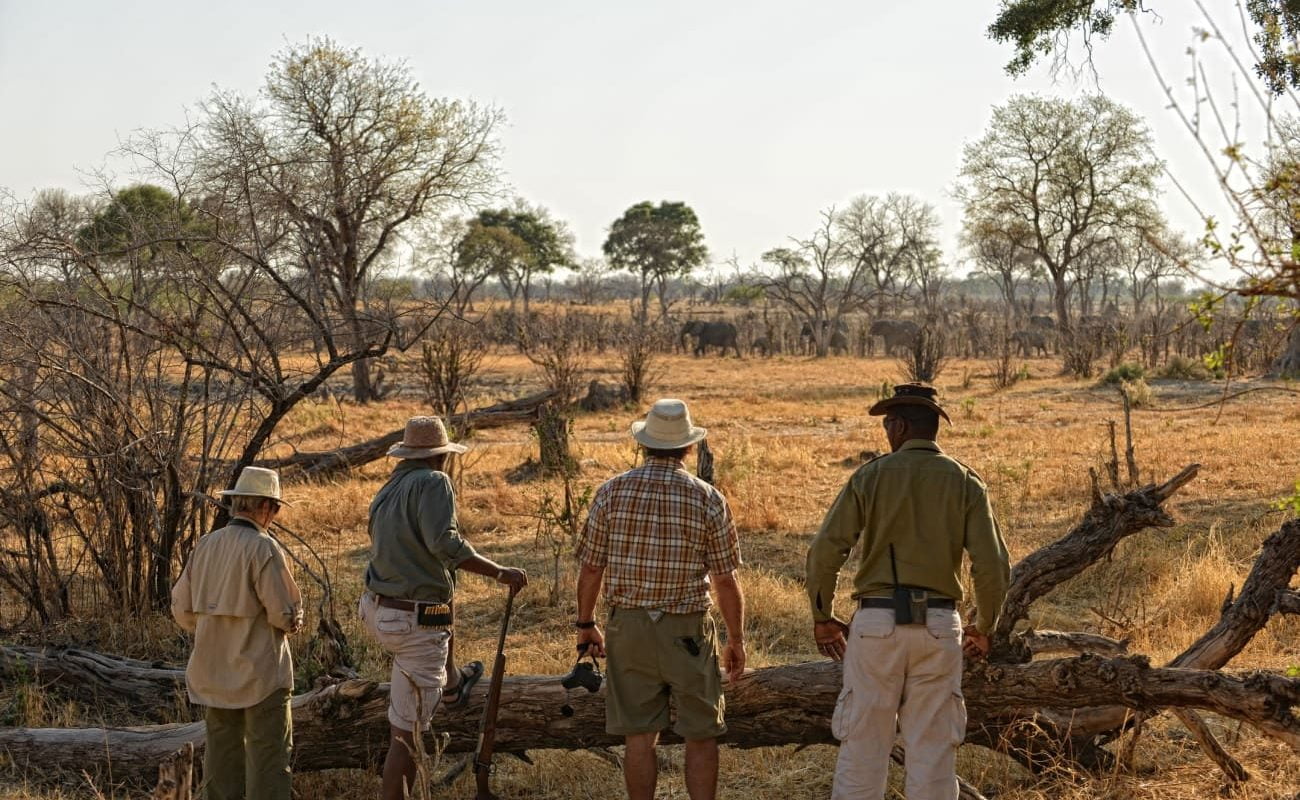 Linyanti Bush Camp Walking Safari Walking Safari im Linyanti Bush Camp