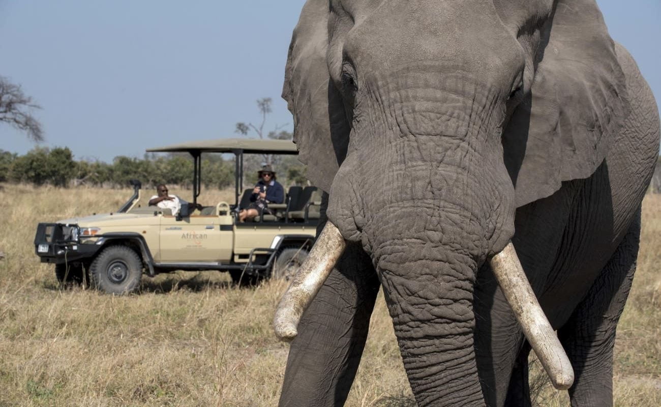 Pirschfahrt in der Khwai Community Area