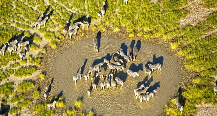 Safari zwischen Ostern und Pfingsten