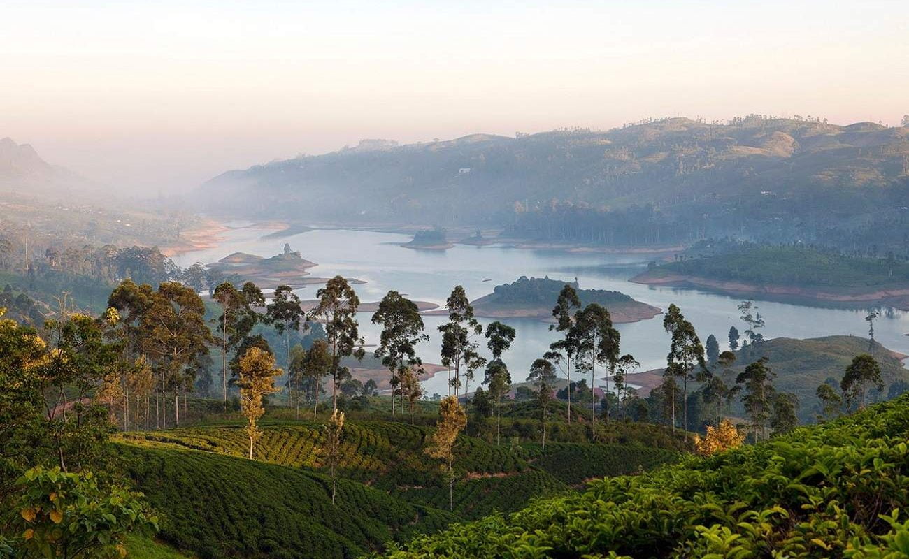 In den Highlands von Sri Lanka