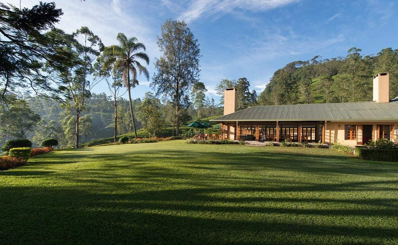 Norwood Bungalow Ceylon Tea Trails