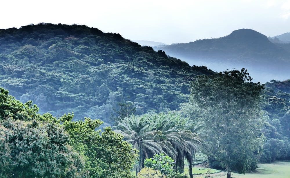 Eastern Highlands von Simbabwe