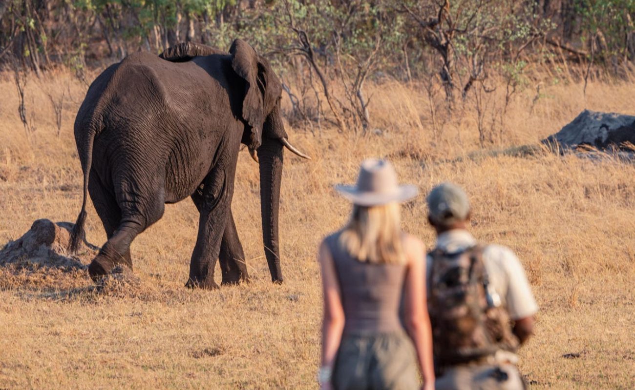 Walking Safari im Hwange Nationalpark