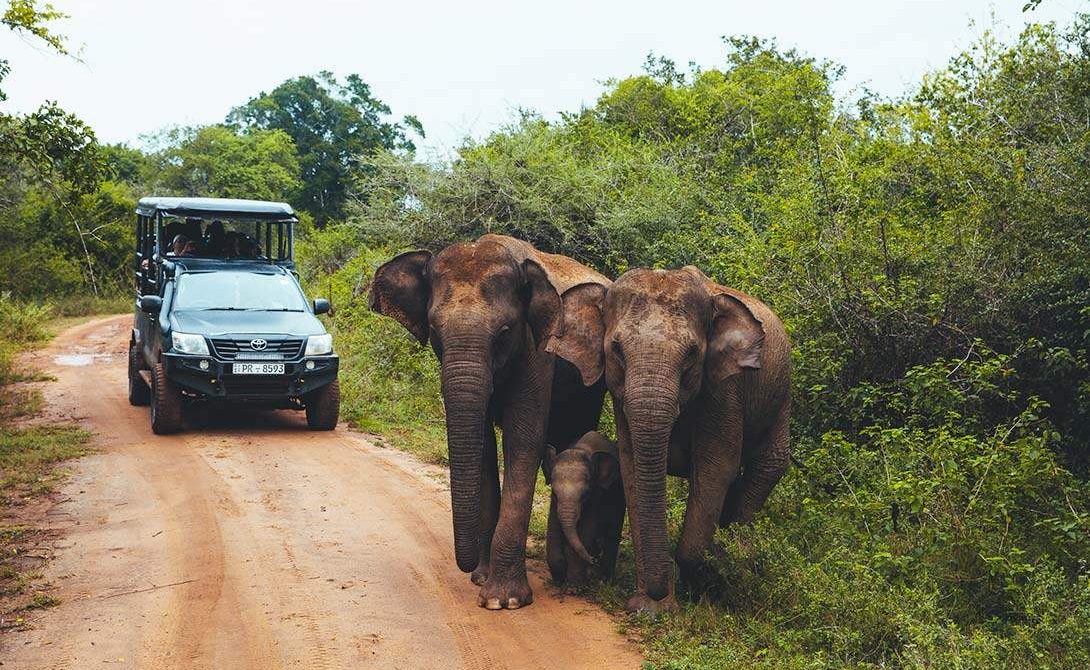 Sri Lanka Rundreise Relais Chateaux Yala Pirschfahrt im Yala Nationalpark
