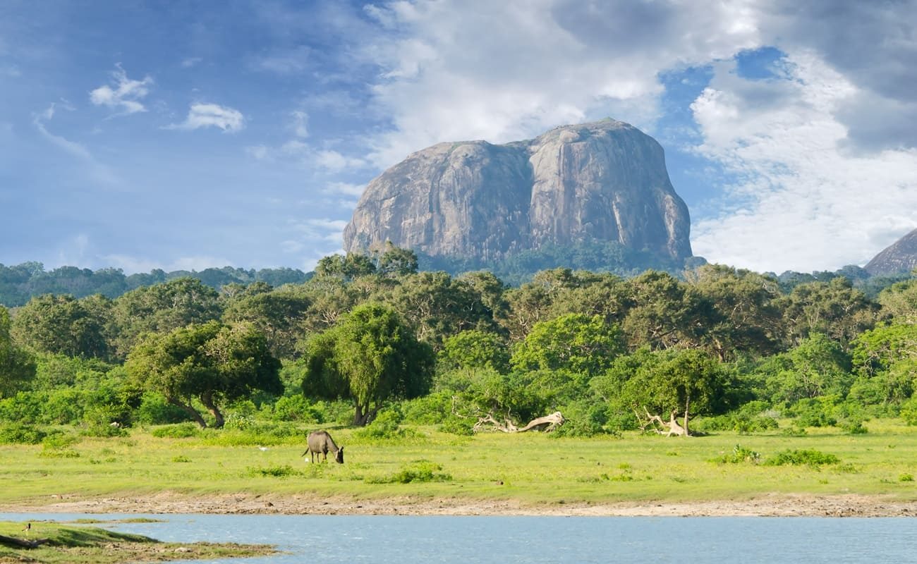 Sri Lanka exklusiv Sigiriya Sigiriya