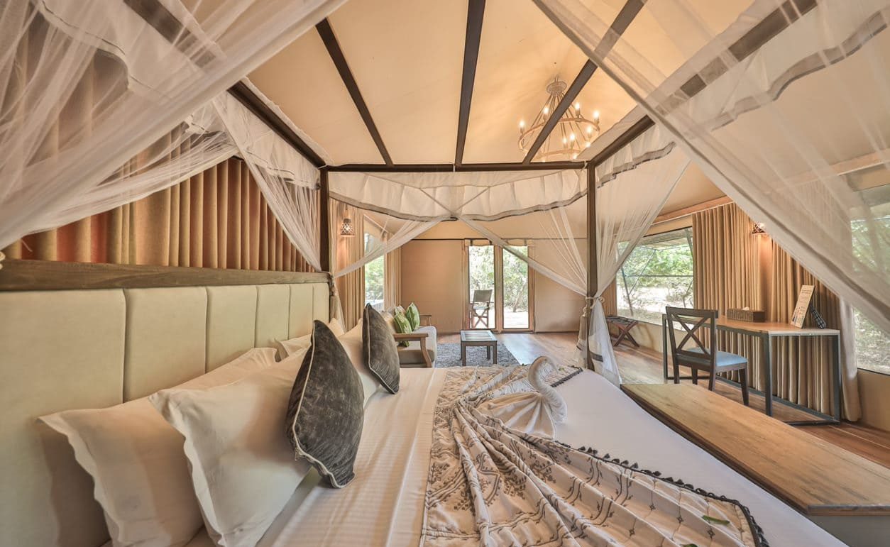 Glamping - Tribe Yala