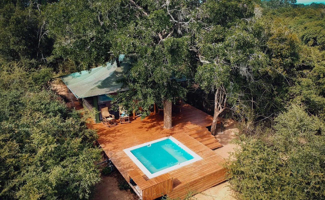 Tribe Yala Luxury Eagle Tent Plunge Pool Plunge Pool Luxury Eagle Tent