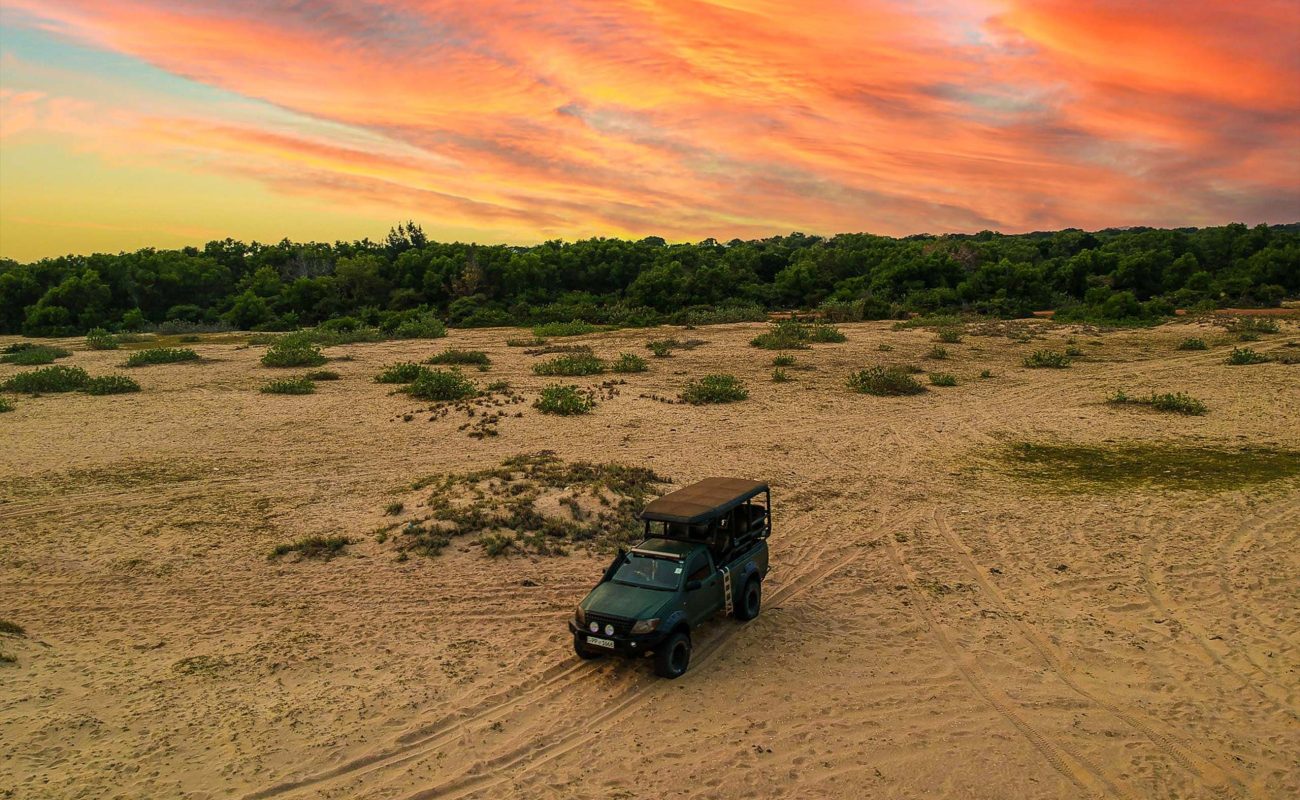 Tribe Yala Nationalpark Safari Yala Nationalpark