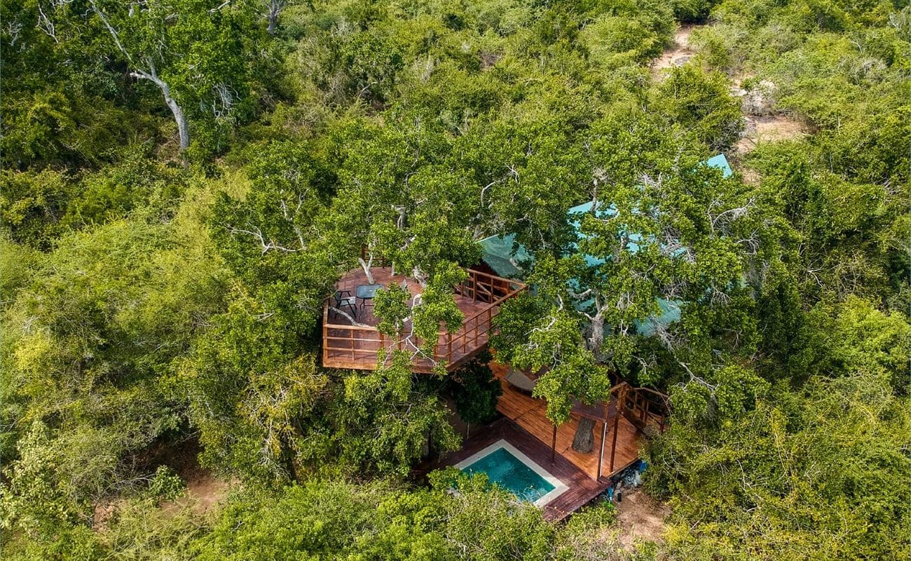 Tribe Yala The Tusker