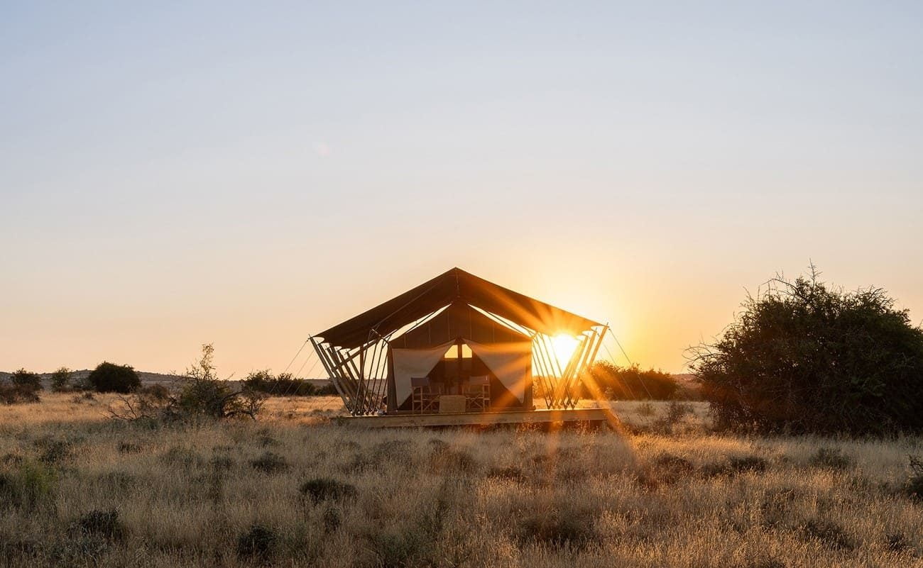 Samara Plains Camp Zelt