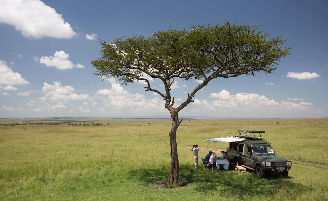 Skysafari Kenia Masai Mara Pirschfahrt in der Masai Mara