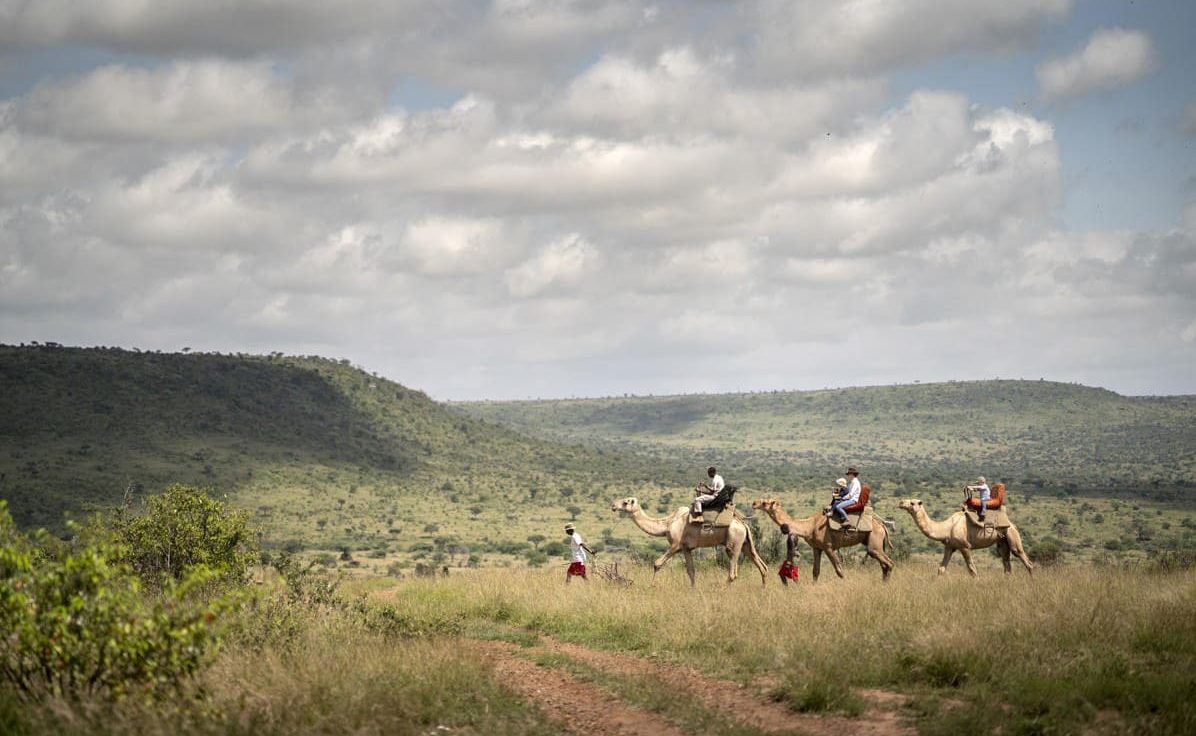 Skysafari Laikipia Kamelsafari Kamelsafari Laikipia Plateau