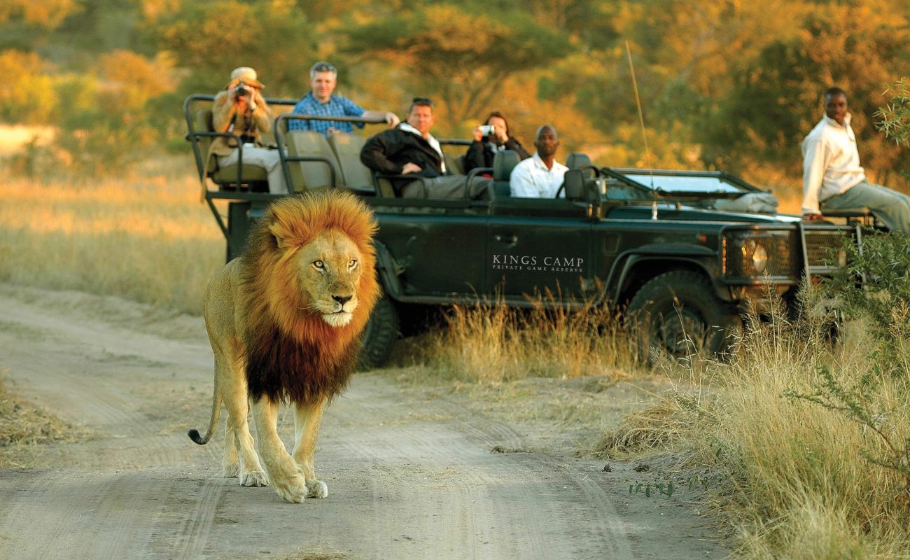 Pirschfahrt im Kings Camp