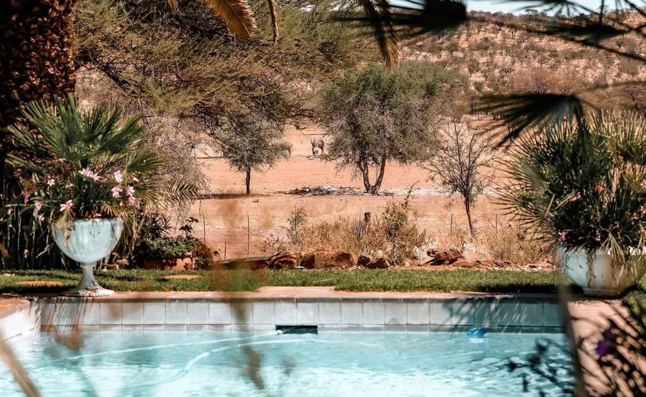 Ohorongo Private Game Reserve Safari Lodge Pool Pool Ohorongo Safari Lodge