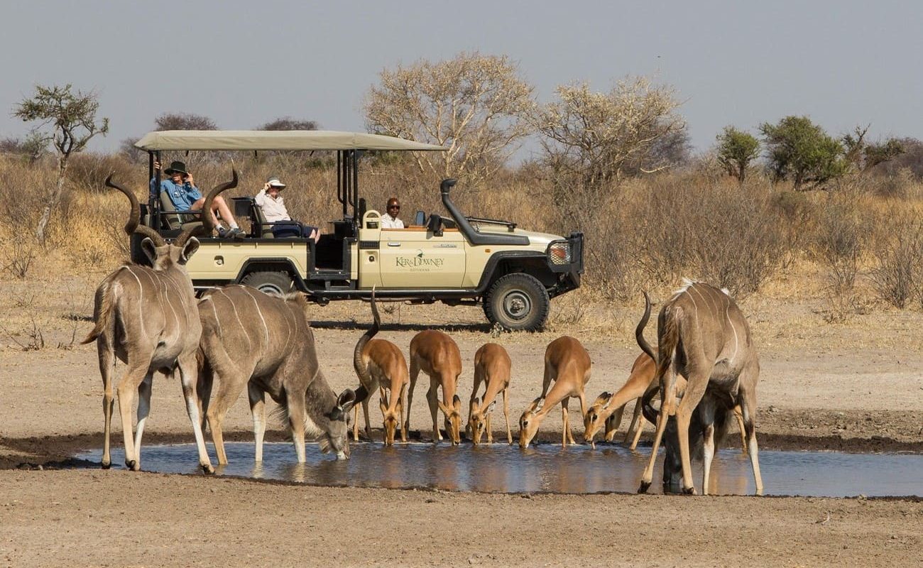 Pirschfahrt in Dinaka