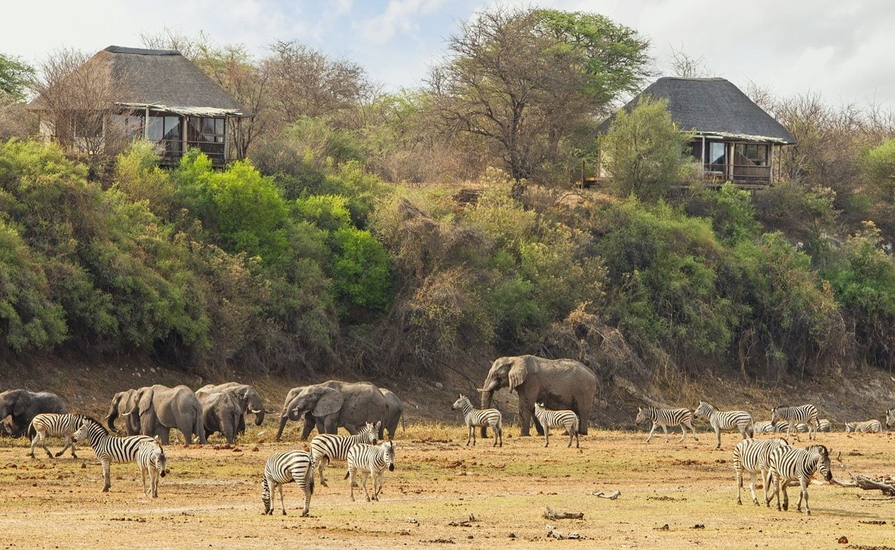 Leroo La Tau Elefanten Zebras Lodge