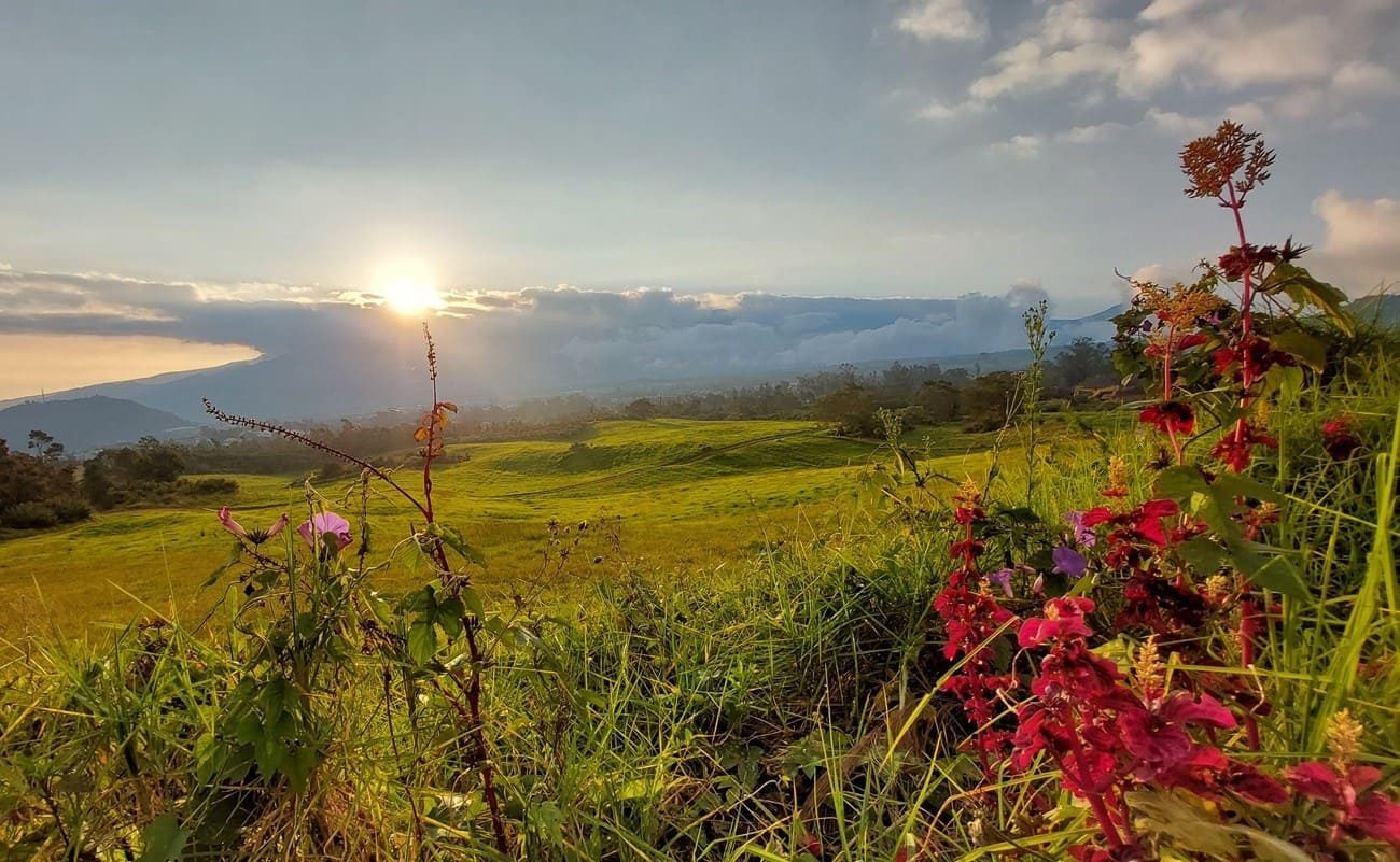 Rundreise La Réunion klassisch Plaine de Cafre Plaine de Cafres