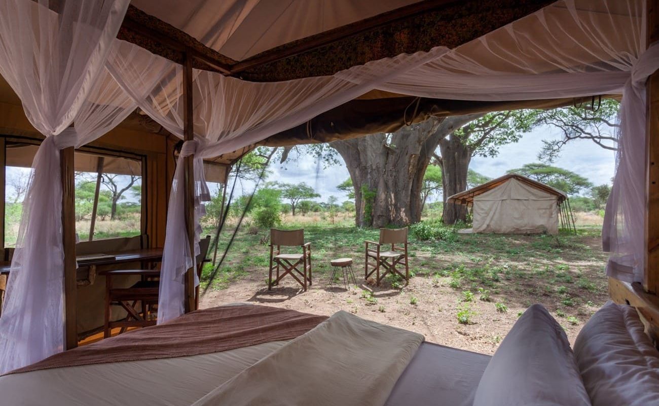 Baobab Tented Camp Zelt Aussicht Aussicht der Zelte von Baobab Tented