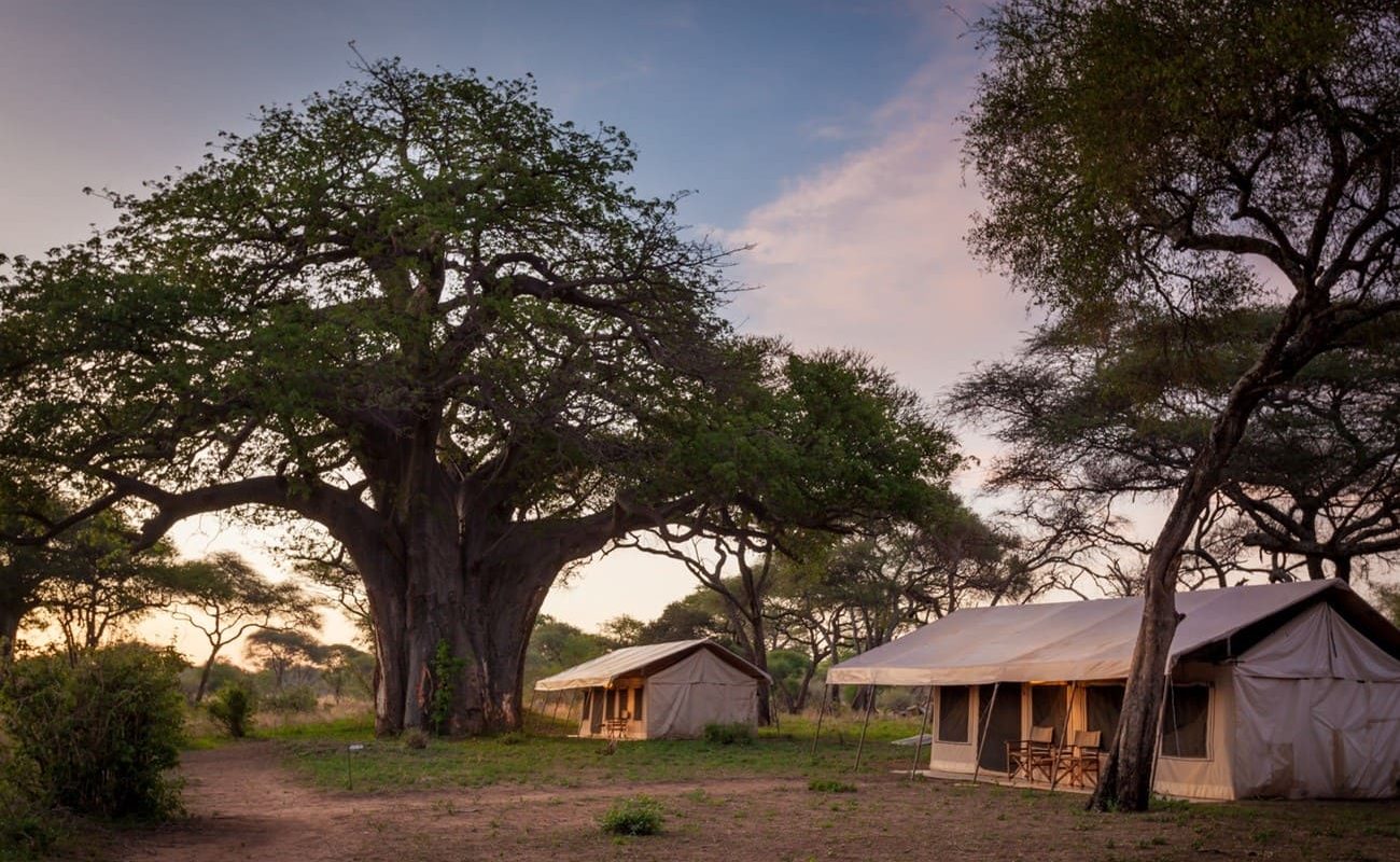 Baobab Tented Camp Zelte außen Zelte im Baobab Tented Camp Tarangire