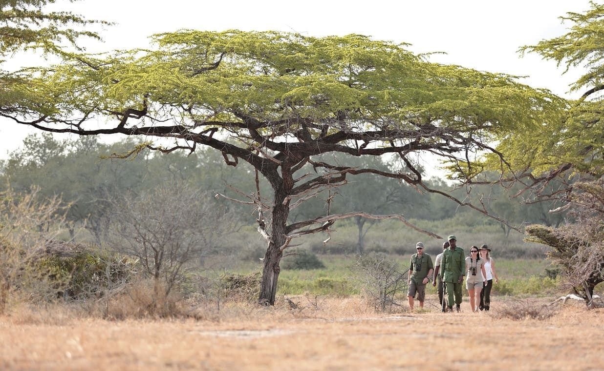Süd-Tansania exklusiv Pirschwanderung Selous Pirschwanderunge im Selous Nationalpark