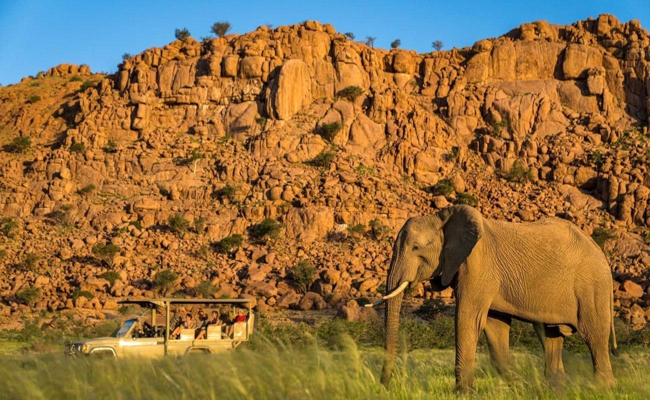 Camp Kipwe Pirschfahrt Green Season Pirschfahrt Camp Kipwe Green Season