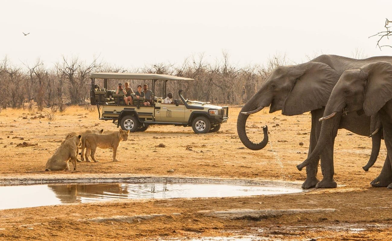 Savute Game Drive