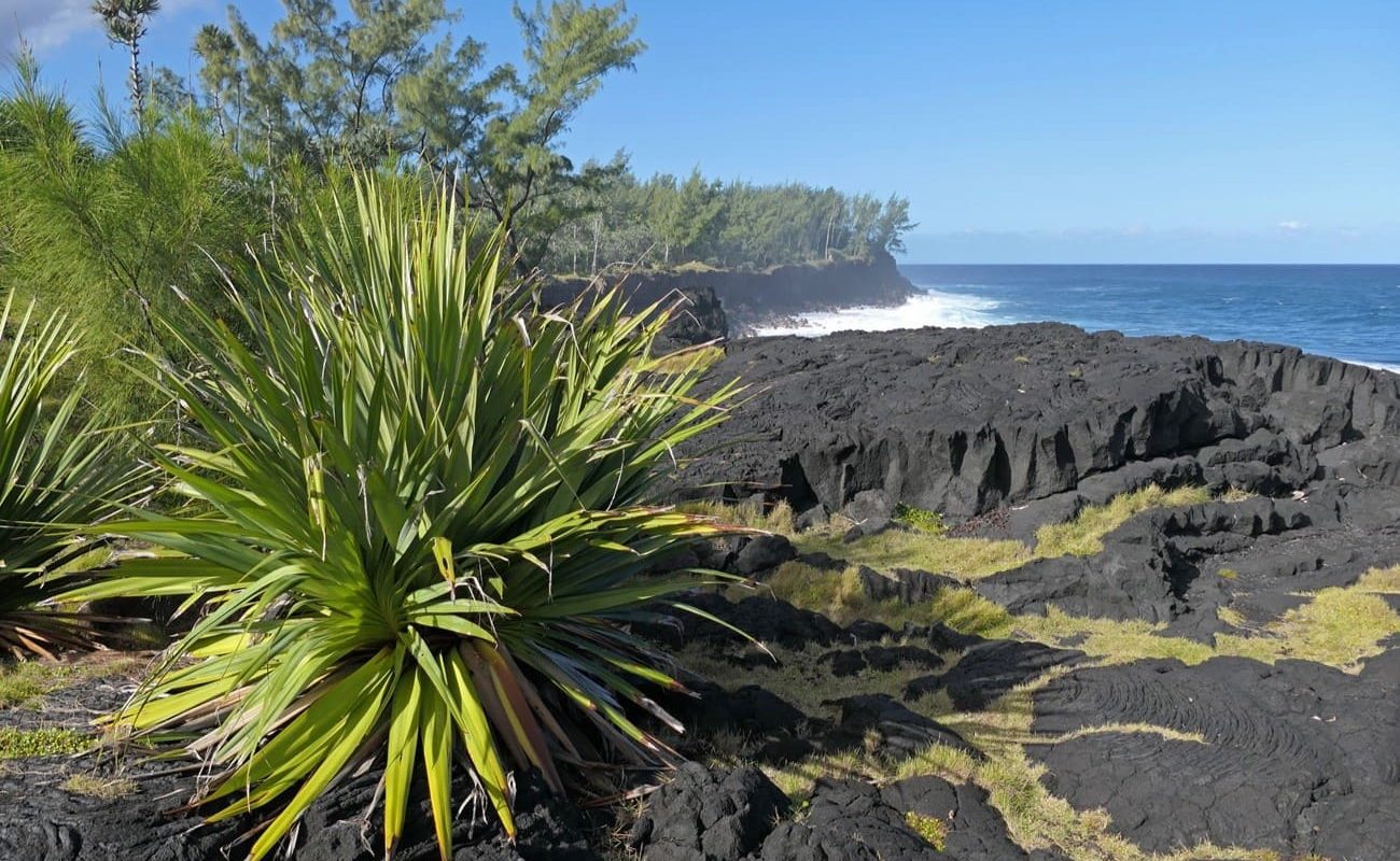 Charmantes La Reunion Süden Südküste La Réunion