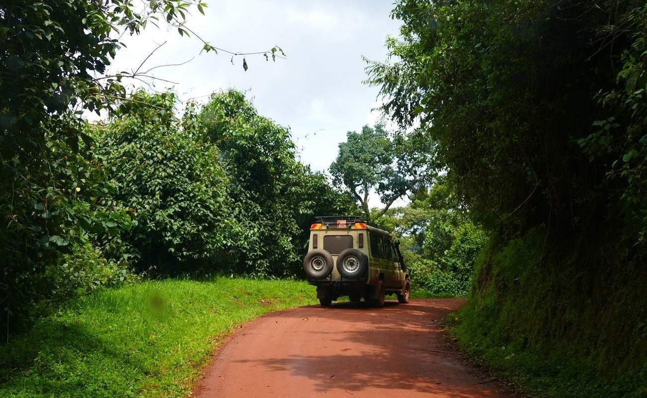 Gorilla Express Landschaft Bwindi Die rote Erde Ostafrikas in Uganda