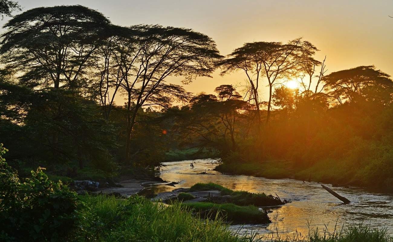 Uganda Kleingruppe Queen Elizabeth Nationalpark Abendstimmung Queen Elizabeth Nationalpark