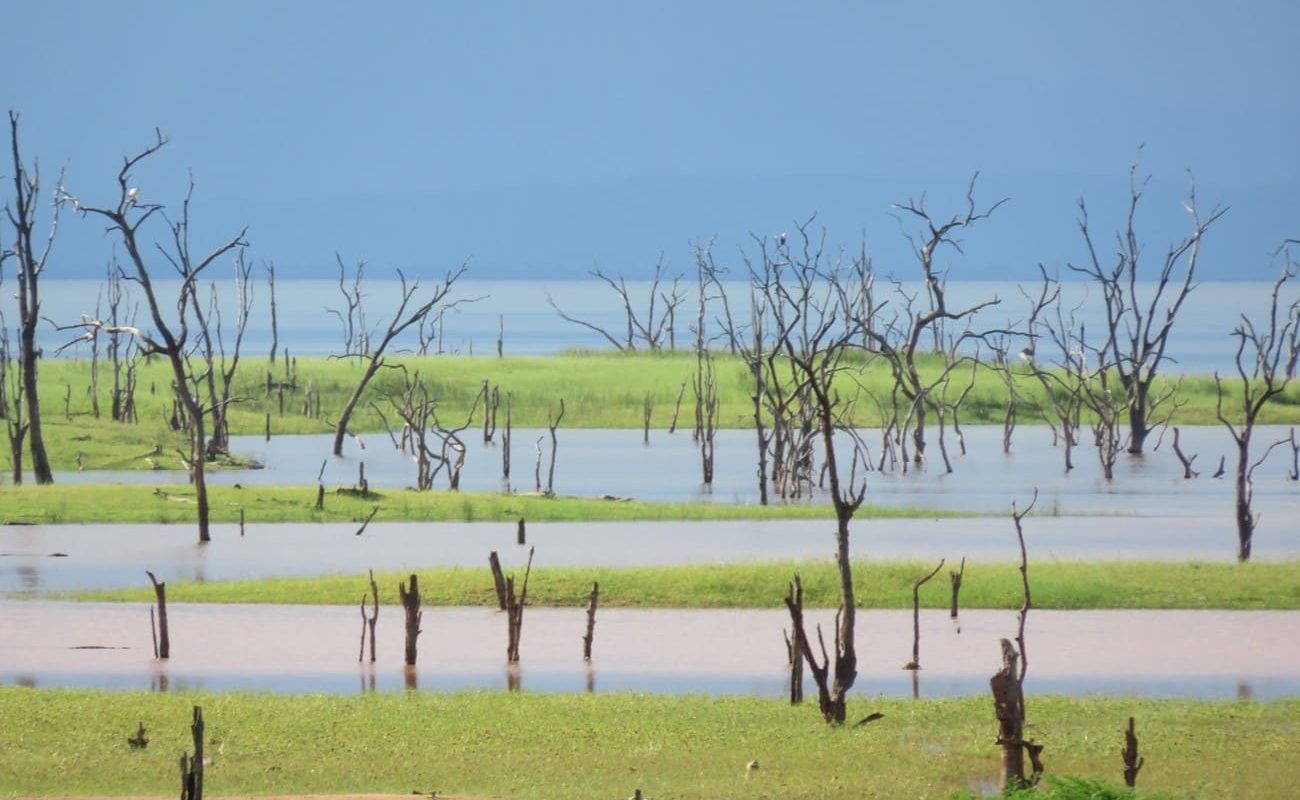 Höhepunkte Simbabwe Lake Kariba Lake Kariba, Simbabwe