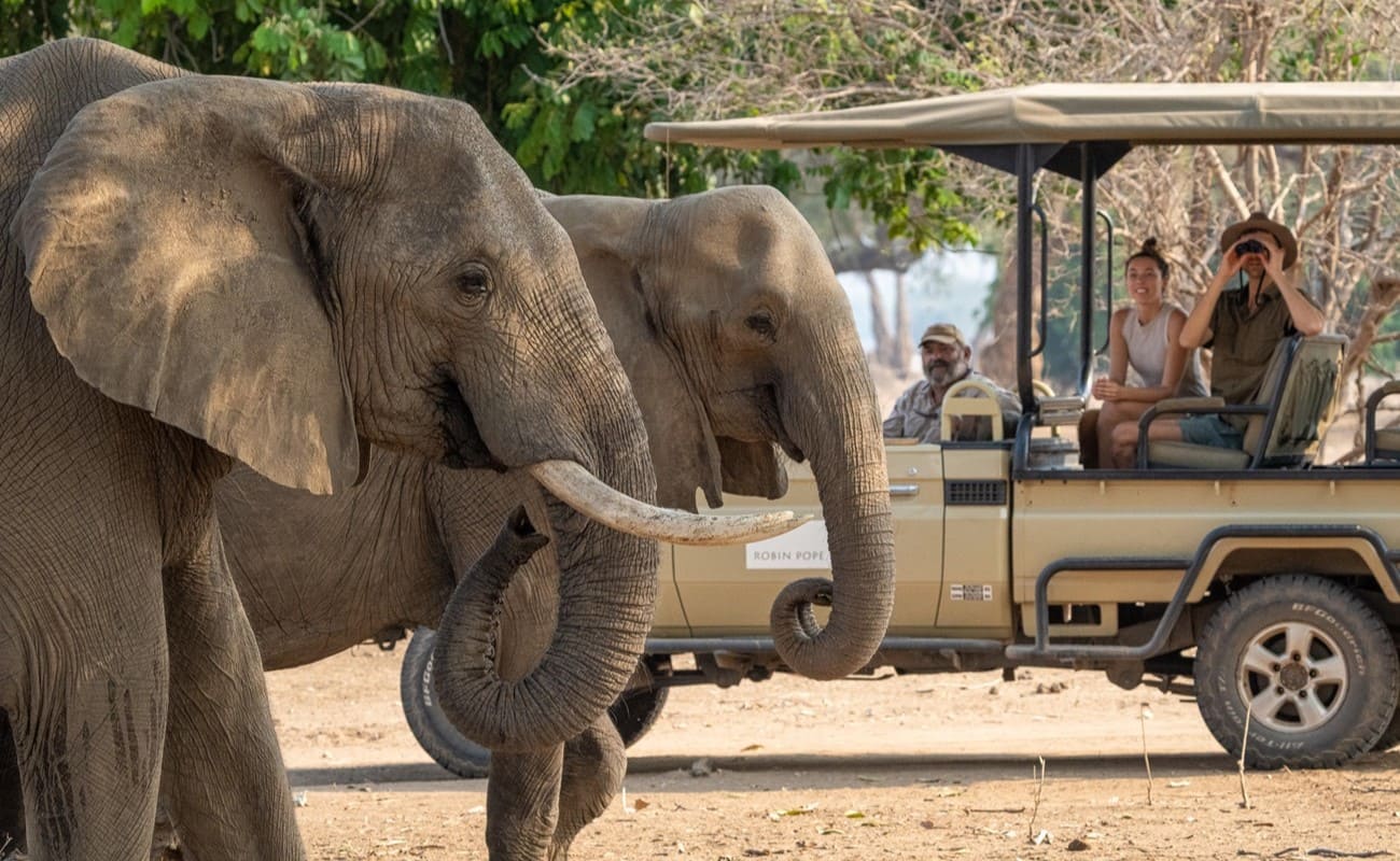 Höhepunkte Simbabwe - Pirschfahrt Mana Pools Pirschfahrt Mana Pools