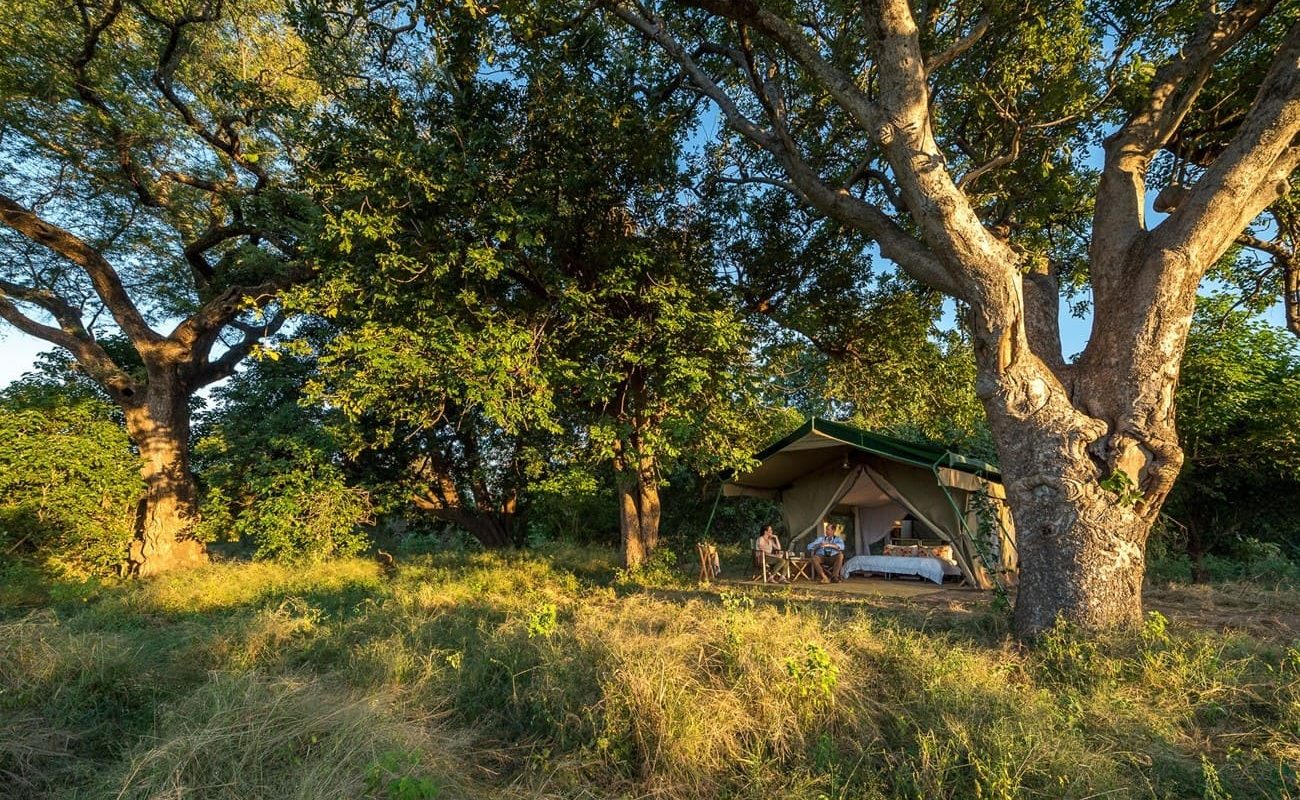 Zelt unter Mahagonibäumen im Johns Camp