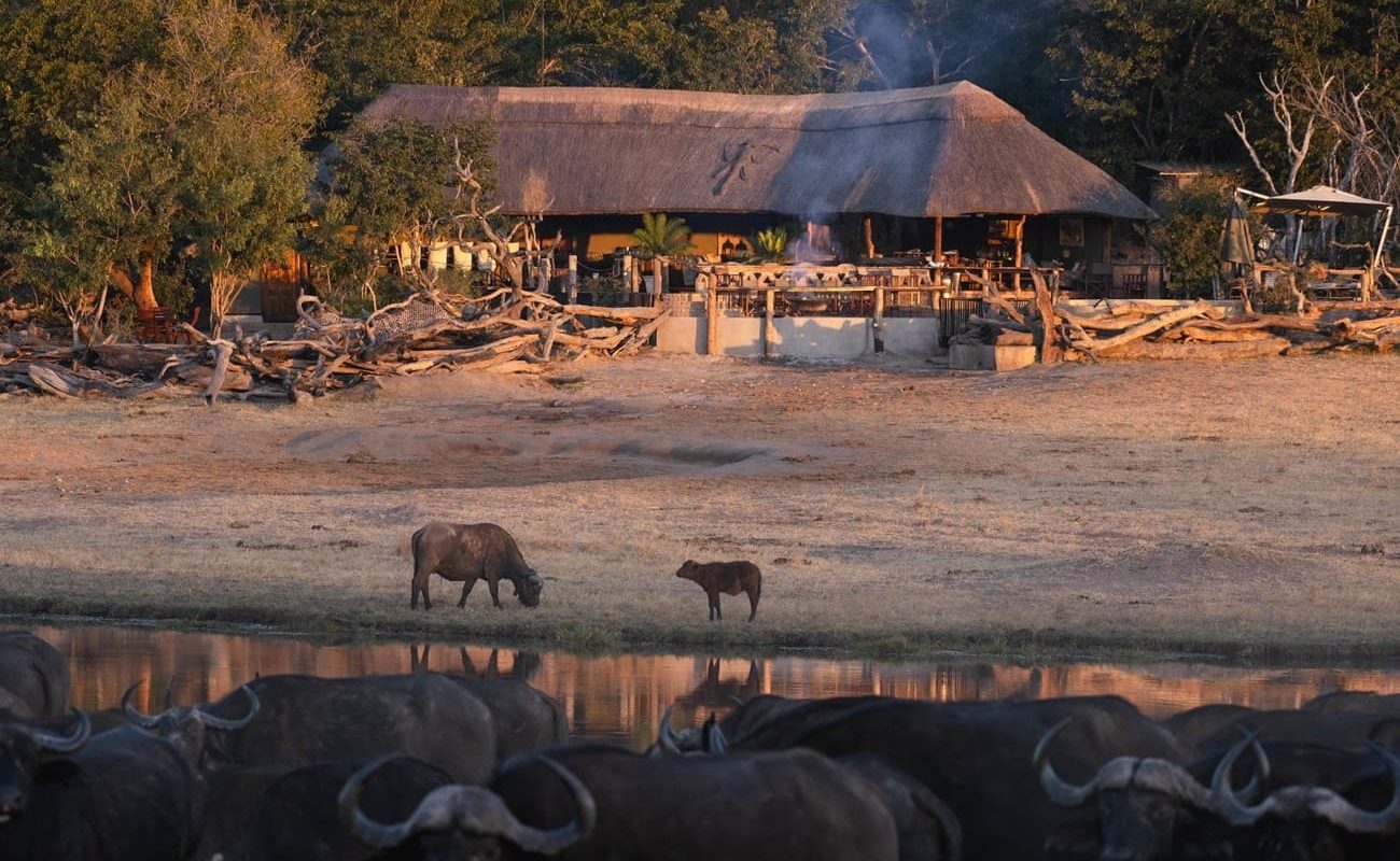 Khulu Bush Camp Blick vom Wasserloch