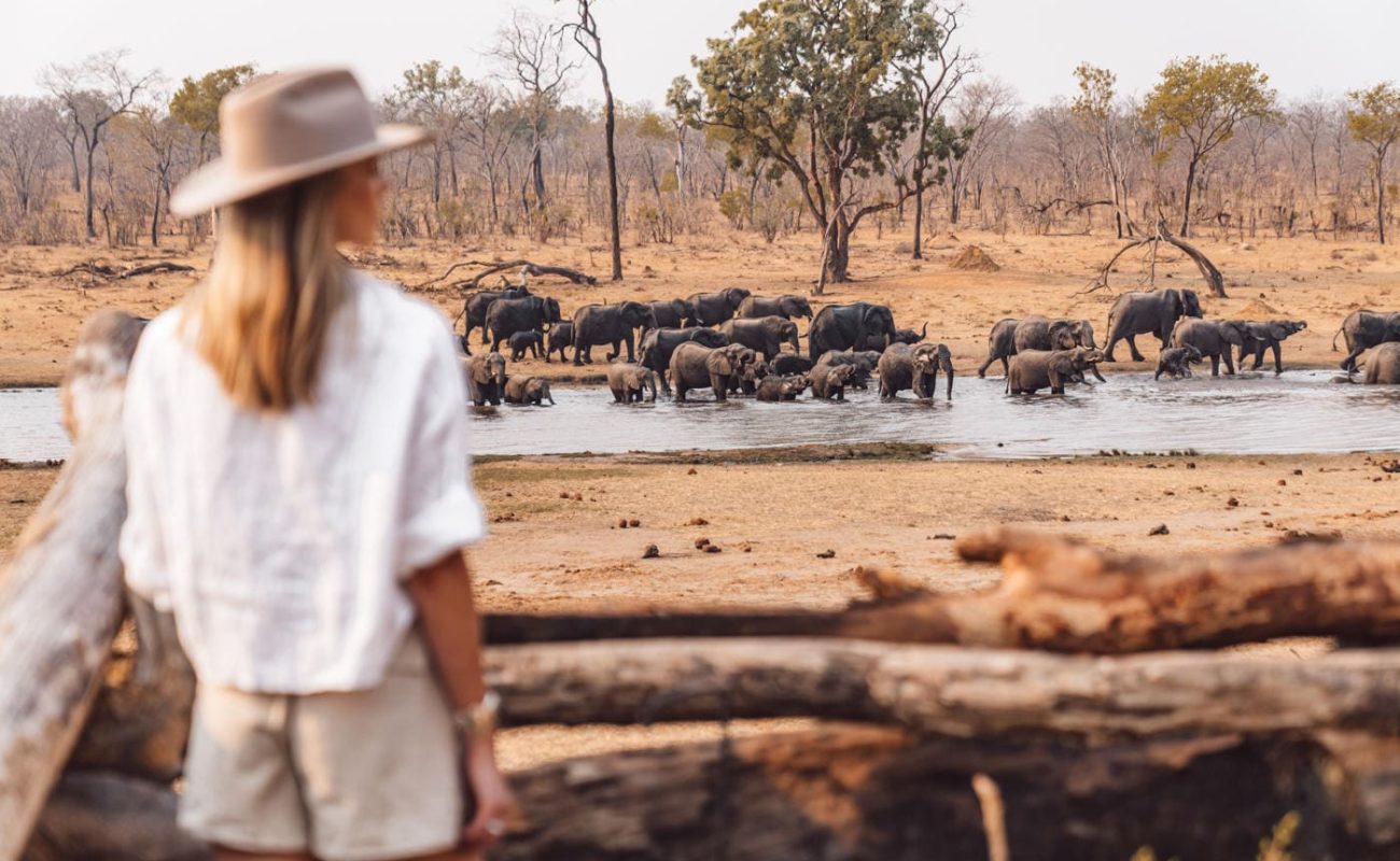 Khulu Bush Camp Elephants Blick Wasserloch Khulu Bush Camp