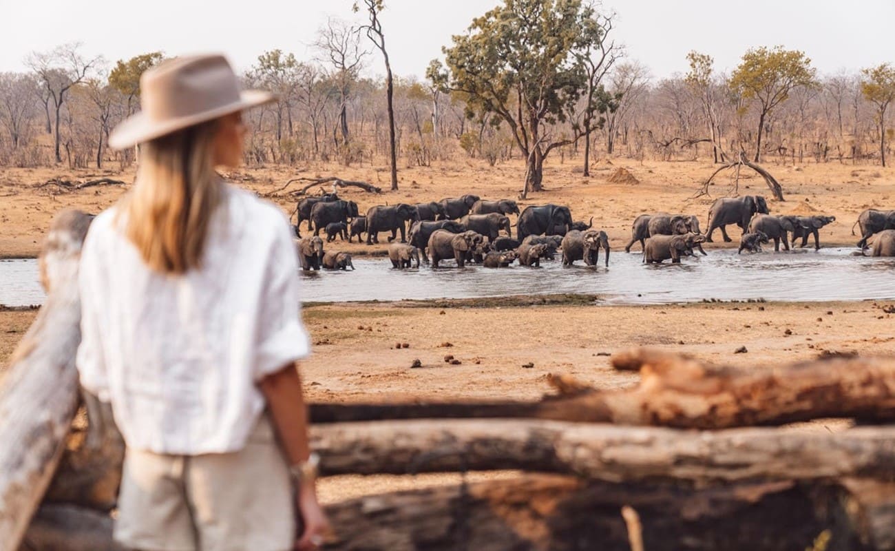 Elefanten am Wasserloch vor dem Khulu Bush Camp