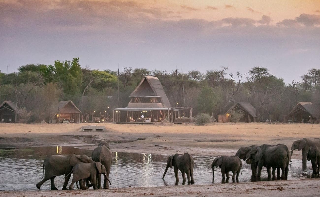 The Hide Haupthaus Haupthaus The Hide - Wasserloch Elefanten