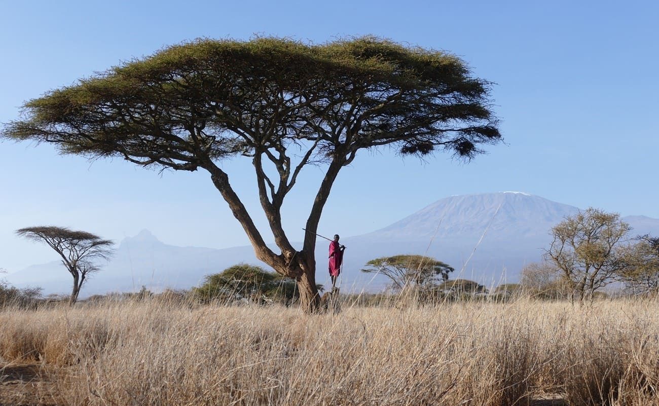 Höhepunkte Kenias Elerai Kilimanjaro