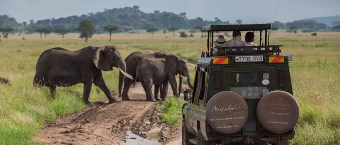 Tansania Skysafari Serengeti Game Drives Pirschfahrt Skysafari Tansania
