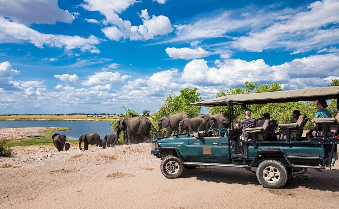 Pirschfahrt Chobe Ngoma Safari Lodge