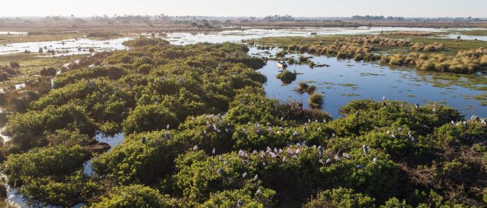 Die Wasserwelt des Okavango Deltas