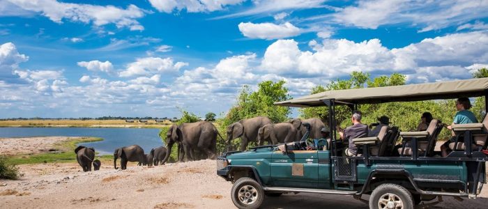 Wasserwelten in Botswana - Elefanten am Chobe River