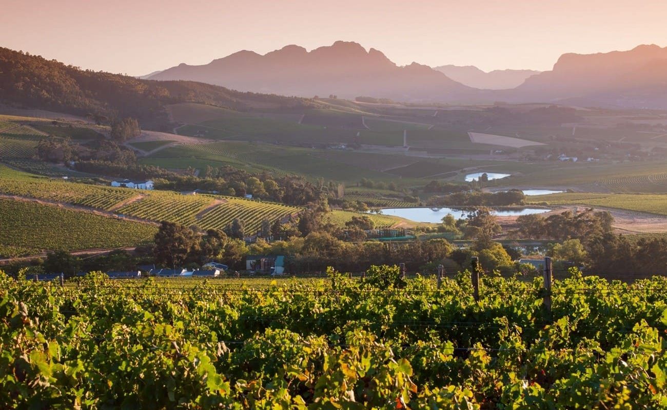 Jordan Wine Estate, Stellenbosch