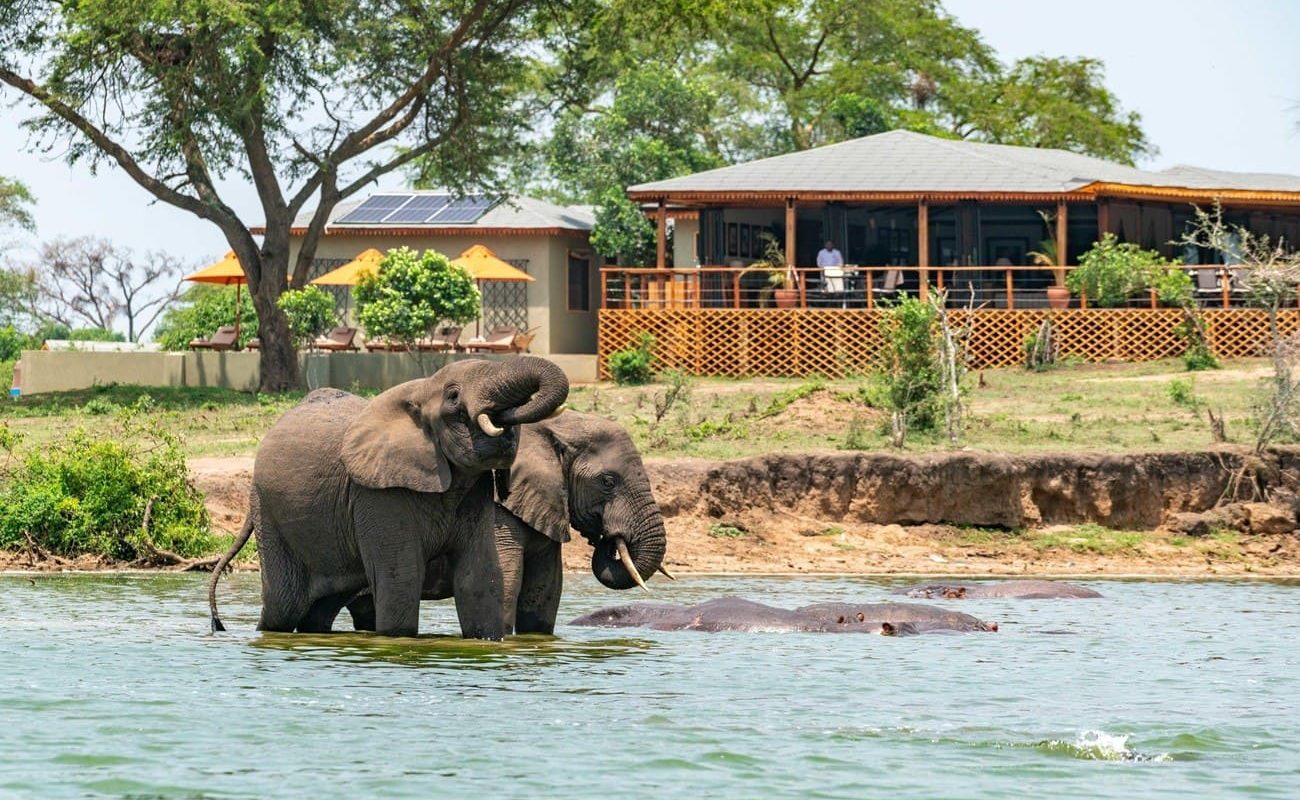 The River Station Elefanten