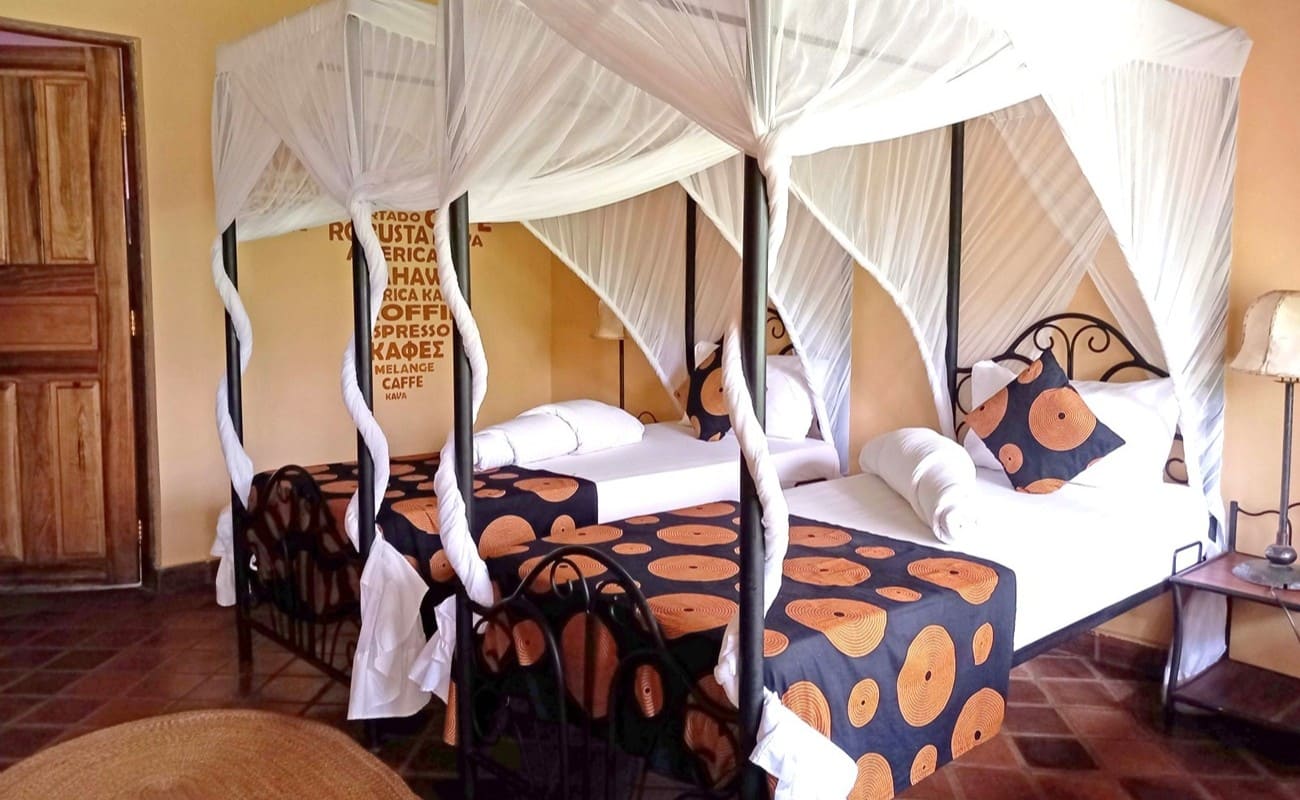 African View Lodge Coffee Bungalow Coffee Bungalow African View Lodge